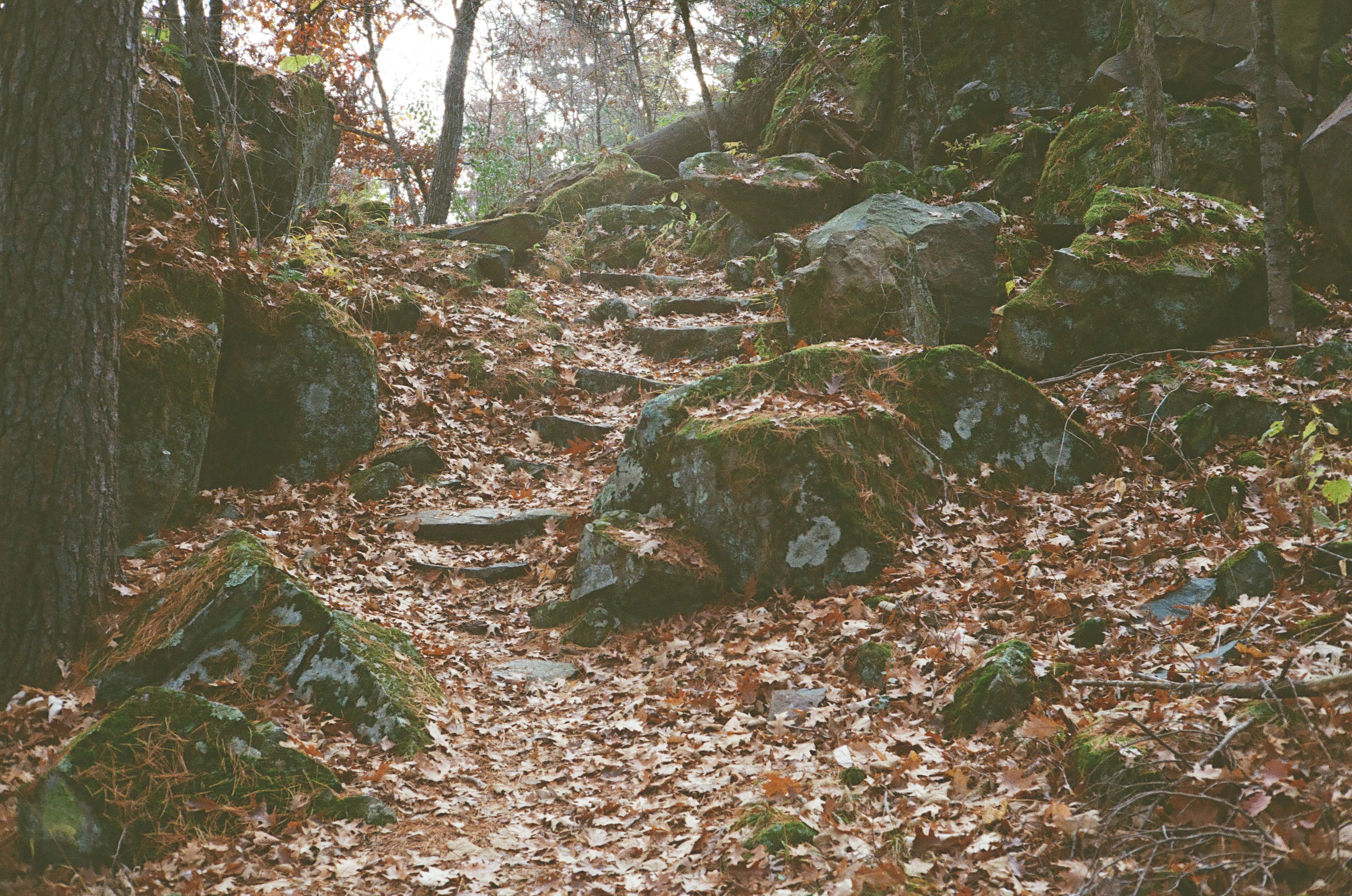 Interstate State Park, St Croix Falls WI - Rock Stairs